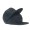 10Deep Hat NU003 Snapback