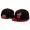 NBA Miami Heat 47B Hat #15 Snapback