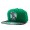 NBA Boston Celtics MN Hat #31 Snapback