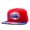 NBA Los Angeles Clippers MN Hat #10 Snapback