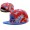 MLB Los Angeles Dodgers NE Strapback Hat #14 Snapback