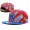 MLB New York Yankees NE Strapback Hat #20 Snapback