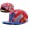 MLB Philadelphia Phillies NE Strapback Hat #03 Snapback