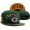 NFL Green Bay Packers NE Hat #17 Snapback