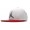Jordan Hat NU002 Snapback
