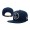 Pink Dolphin Strapback Hat NU014 Snapback