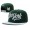 ZooYork Hat #01 Snapback
