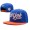 ZooYork Hat #03 Snapback